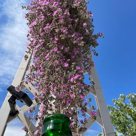 I Trulli Dei Nonni Evelin Martina Franca Exterior foto